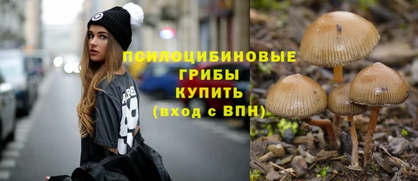 кокс Абдулино