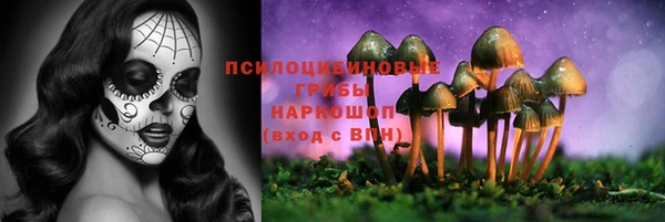 кокс Абдулино
