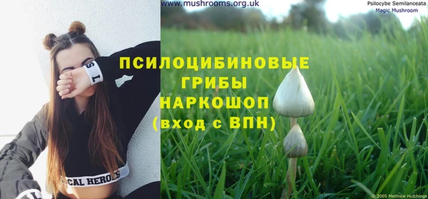 соль курить ск Алексин