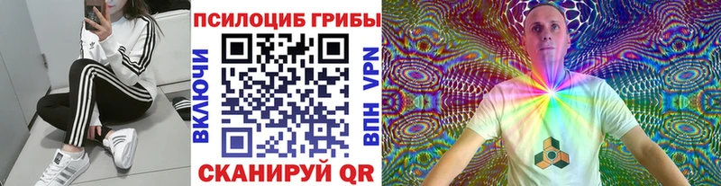 нарко площадка наркотические препараты  Чапаевск  Псилоцибиновые грибы GOLDEN TEACHER 